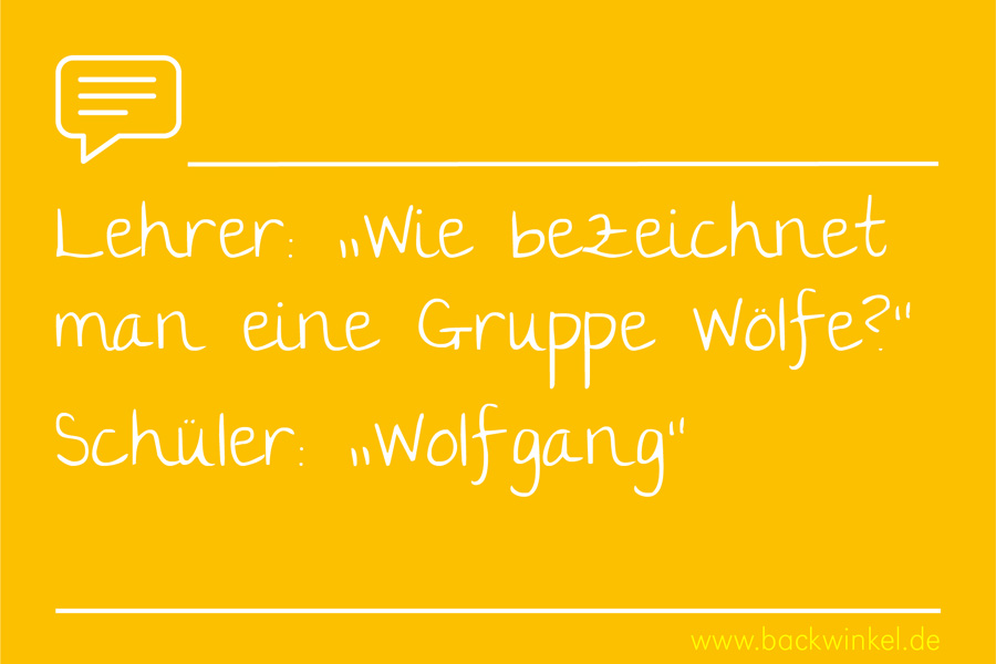 45+ Lustige sprueche fuer schueler , Schüler &amp; Lehrersprüche BACKWINKELBlog