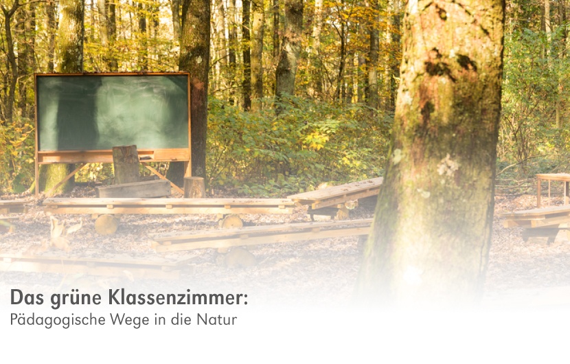 backwinkel-blog-das-gruene-klassenzimmer-anteasern