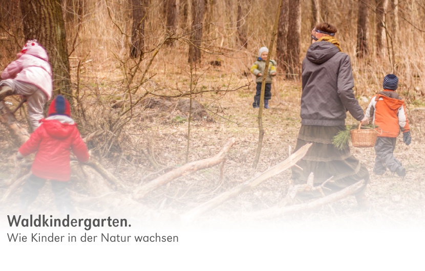 backwinkel-blog-waldkindergarten-anteasern