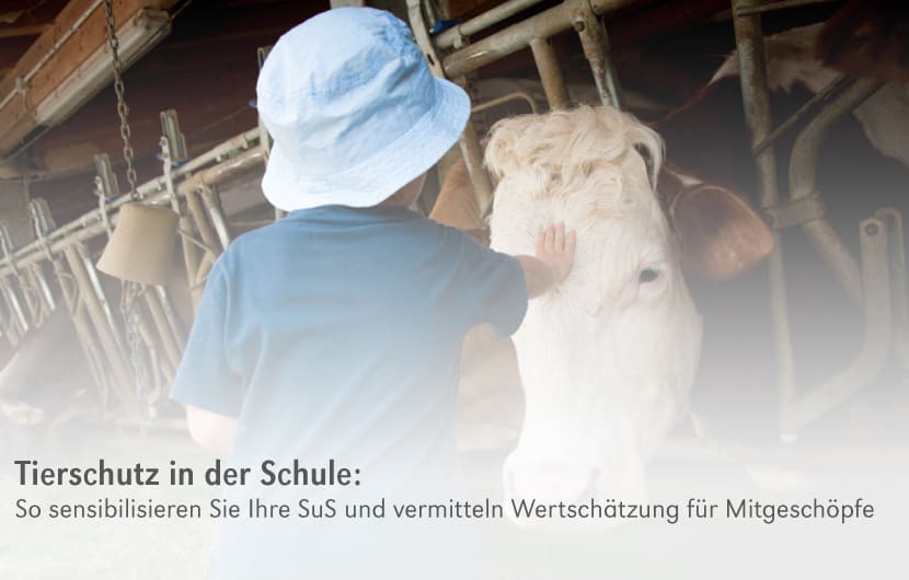 backwinkel-blog-tierschutz-in-der-schule-anteasern