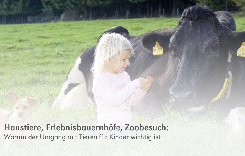 backwinkel-blog-haustiere-kiga-anteasern
