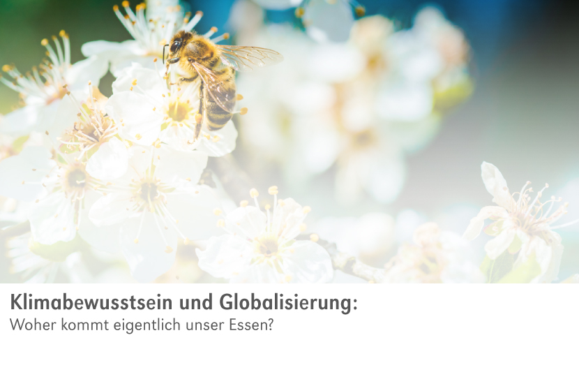 backwinkel-blog-klimabewusstsein_und_globalisierung-anteasern